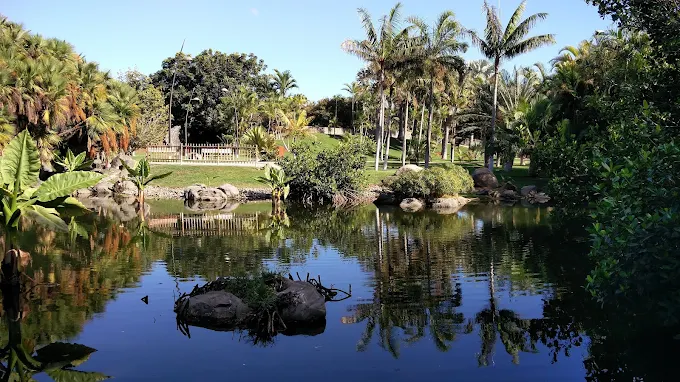 Palmetum Tenerife
